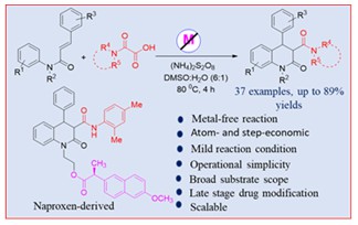 Carbamoylated Dihydroquinolinone