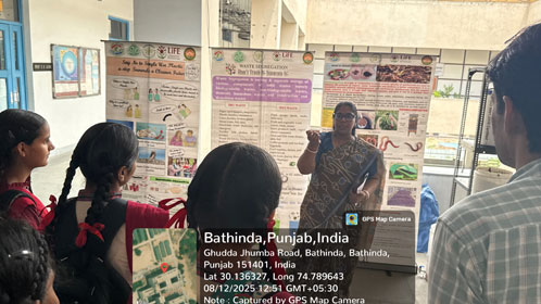 Environment Audit and Monitoring Cell Activities