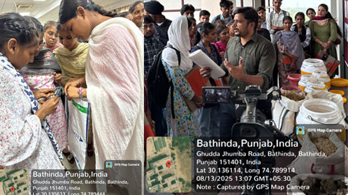 Environment Audit and Monitoring Cell Activities