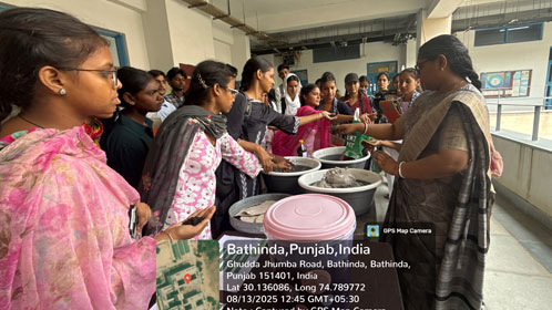 Environment Audit and Monitoring Cell Activities