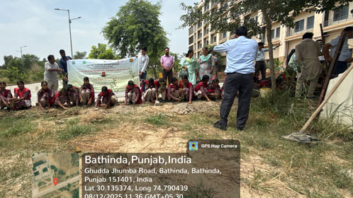 Environment Audit and Monitoring Cell Activities